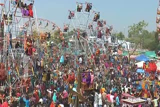 Bhagoria festival is being celebrated with great pomp in Jhabua region