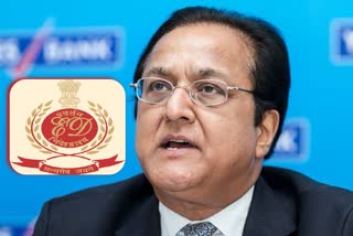 ED arrests Yes Bank founder Rana Kapoor under PMLA