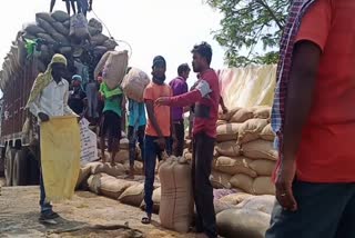 Paddy getting spoiled due to rain in Janjgir