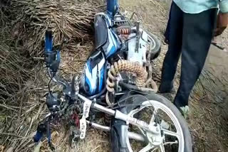 Road accident news viratnagar jaipur
