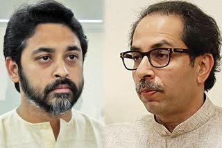 Nilesh Rane criticim on CM Uddhav Thackeray