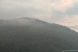 Foggy summer in Rampachovadam