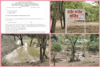 RTI revealed, scam worth crores in the name of environment