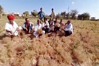 Crop loss due to hail storm