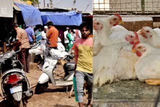 Corona Virus Effect: Chicken Price Decline, Mutton Price Increase