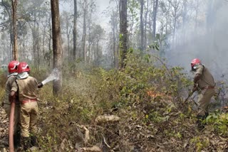 ആര്യവല്ലിക്കാവ് തീപിടിത്തം  arayavallikkavu fire  fire attack arayavallikkavu  ആര്യവല്ലിക്കാവ് റിസർവ് ഫോറസ്റ്റ്  നിലമ്പൂർ അഗ്നിശമന സേനാംഗങ്ങൾ