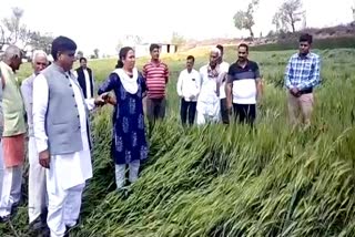 MLA Hakam Ali Khan, Hakam Ali Khan visited villages, विधायक हाकम अली खां, राजस्थान न्यूज