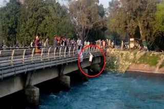 ETT and TET pass unemployed teacher jump into bhakhra canal