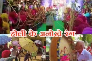 पाली में होली, holi in pali