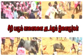 ஆவியூரில் களைகட்டிய ஜல்லிக்கட்டு