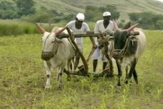 Marathwada-Vidarbha farmers