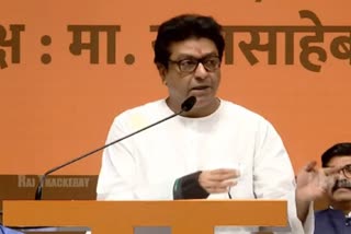 Raj thackeray comment on MNS shadow cabinet