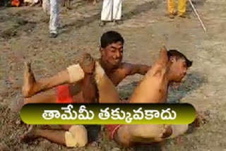 handicaped participated in Wrestling