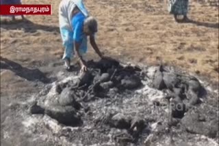 25 goats burn on fire Thiruvaadanai