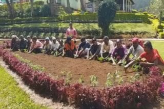 Coonoor kattery park  Coonoor kattery park flower plantation  குன்னூர் காட்டேரிப் பூங்கா