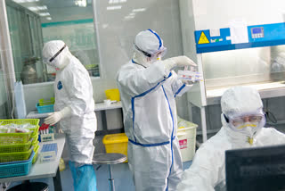 corona virus cases in italy