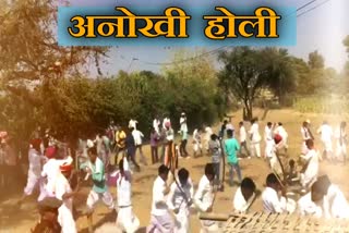 राजस्थान न्यूज, rajasthan news, ratapgarh news in hindi, rajasthan holi