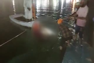 person drown in sarovar of gurdwara attal sahib