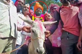 maha-villages-holi-tradition-of-donkey-ride-for-son-in-law