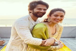 shahid kapoor