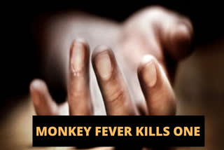 kerala monkey fever