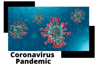 COVID 19 outbreak in India number of cases rise above sixty