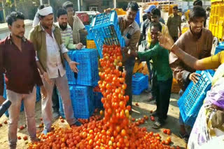 Vegetable rate fall, Vegetable rate fall down, Vegetable rate fall down in Shivamogga, ತರಕಾರಿ ಬೆಲೆ ಕುಸಿತ, ಶಿವಮೊಗ್ಗದಲ್ಲಿ ತರಕಾರಿ ಬೆಲೆ ಕುಸಿತ, ಶಿವಮೊಗ್ಗದಲ್ಲಿ ತರಕಾರಿ ಬೆಲೆ ಕುಸಿತ ಸುದ್ದಿ,