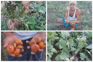 farmers are in tension due to uncertain rain