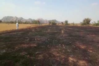 खेत में लगी भीषण आग, fire in field