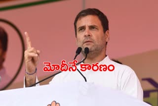 rahul latest news