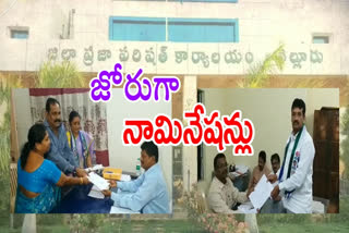 zptc nominations in nellore district