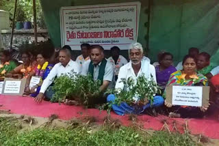 chilli farmers dharna