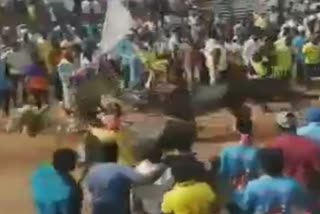 jallikkattu