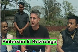 Kevin Pietersen praises Assamese people at Kaziranga National Park