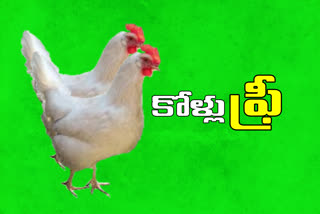 Distribution of poultry hens for free in suryapeta district