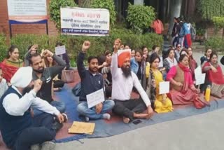 College professors Strike at amritsar