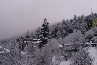 Snow again in kinnaur