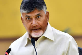 chandra babu letter to ec on local body elections