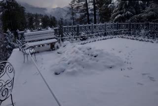 Snow again in kinnaur