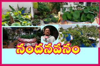 Vegetable cultivation on roof of house in Salur