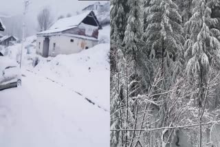 Shimla district covered in a blanket of snow after receiving snowfall.