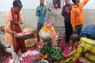 devotees-played-holi-with-flowers-in-jageshwar-nath-dham