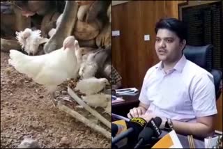 bird flue malappuram  collectorate meeting  മലപ്പുറം ജില്ലാ കലക്‌ടര്‍  ജാഫര്‍ മാലിക്  പൗള്‍ട്രി ഫാം