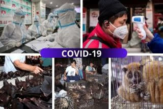 COVID-19 outbreak