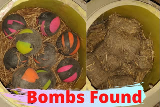 Country-made bomb Malda country-made bombs found Majampur village പശ്ചിമ ബംഗാളിൽ നാടൻബോംബുകൾ കണ്ടെത്തി