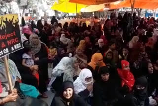 मंसूर अली पार्क में जारी है सीएए के खिलाफ आंदोलन