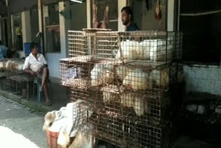 Supply of chickens  Kannur news  കണ്ണൂര്‍ വാര്‍ത്തകള്‍  ഇറച്ചിക്കോഴി