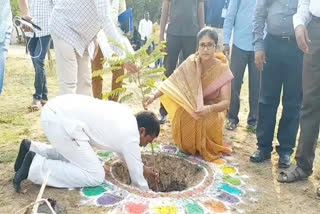 peddapalli collector accepted the MP santhosh kumar green challenge