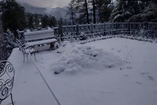 snowfall-again-in-kinnaur-and-simla