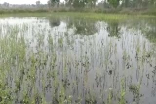 flooding-of-canals